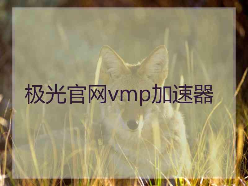 极光官网vmp加速器