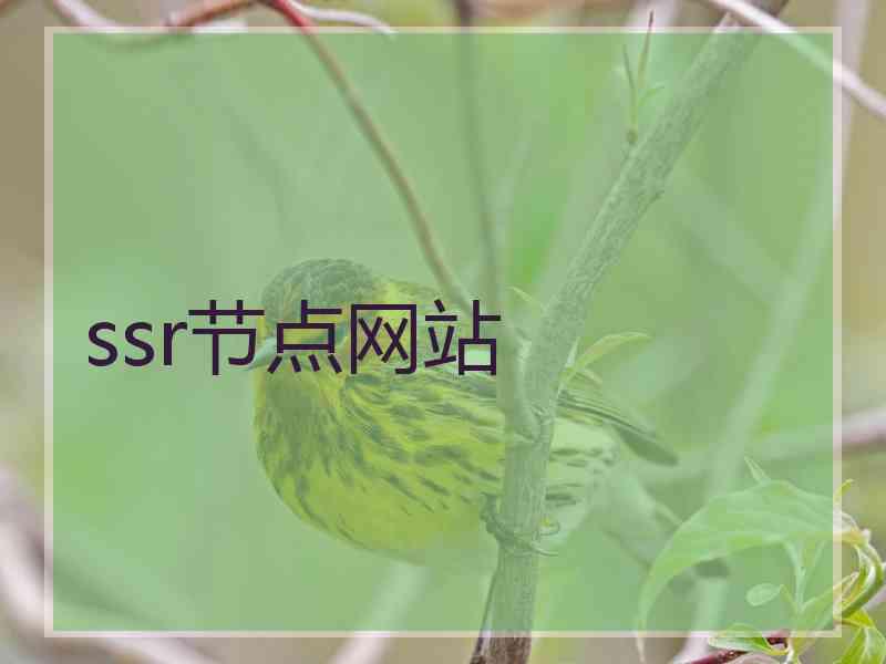 ssr节点网站