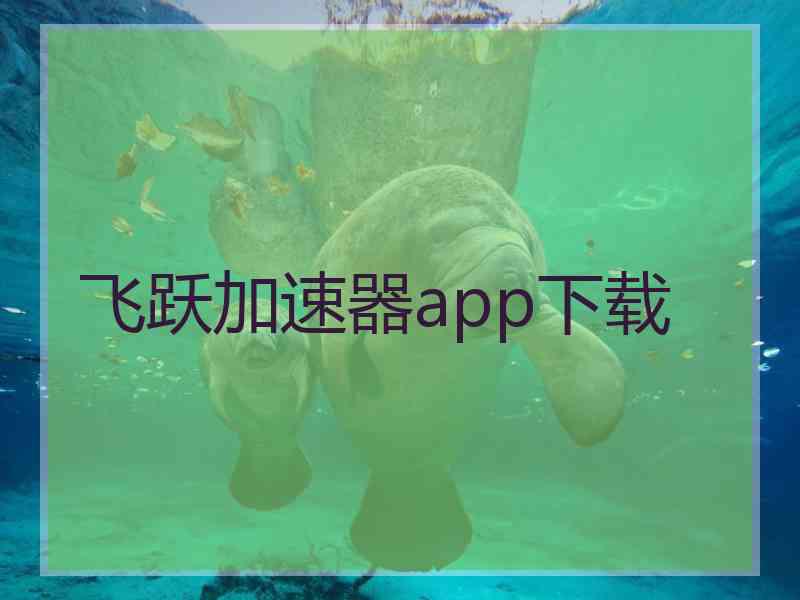 飞跃加速器app下载