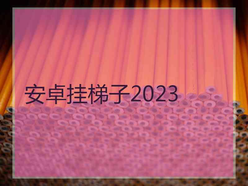 安卓挂梯子2023