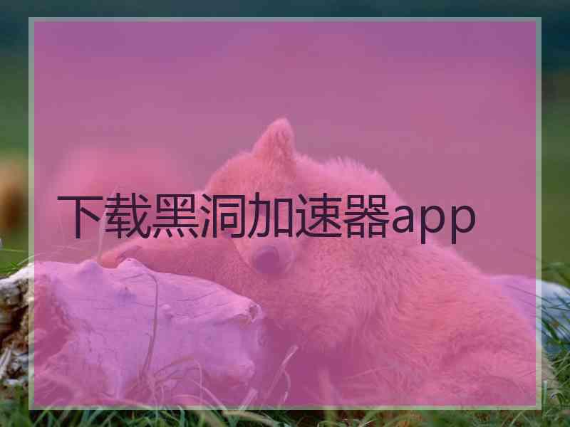 下载黑洞加速器app