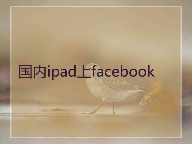 国内ipad上facebook