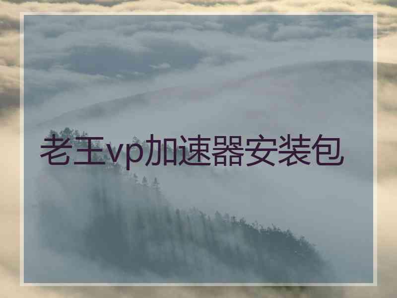 老王vp加速器安装包