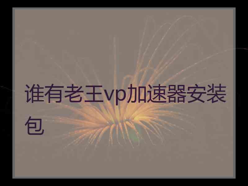 谁有老王vp加速器安装包