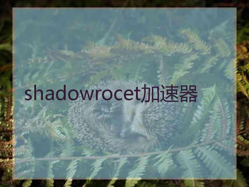 shadowrocet加速器