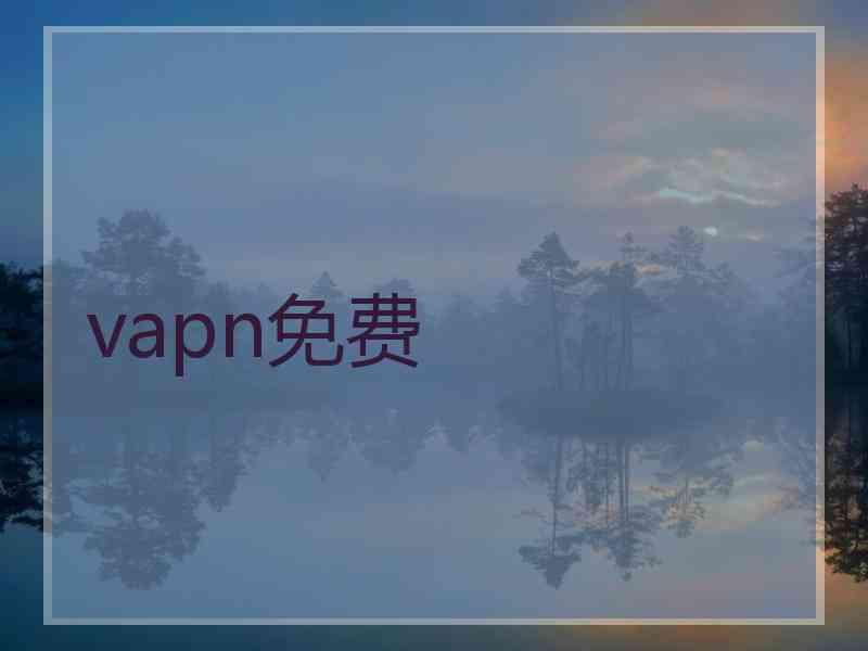 vapn免费