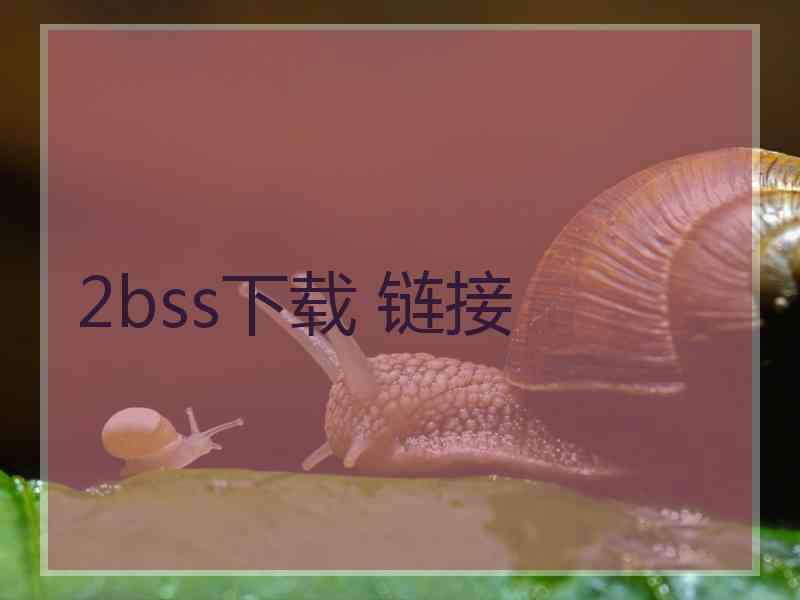 2bss下载 链接