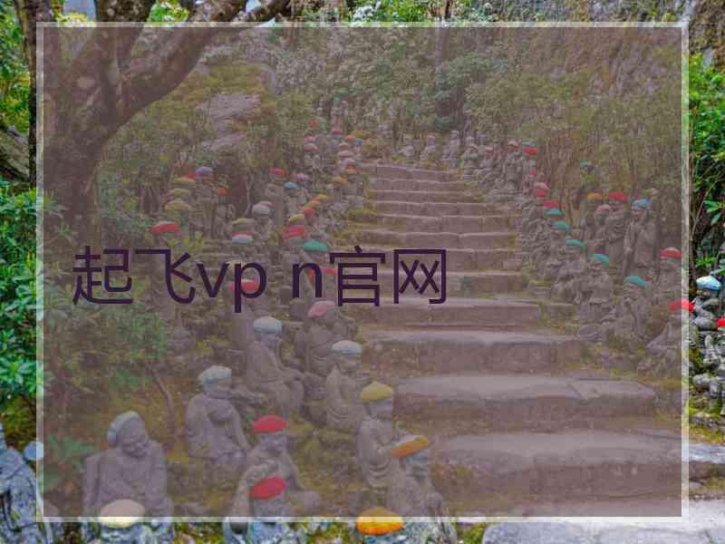 起飞vp n官网