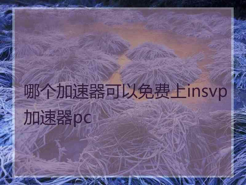 哪个加速器可以免费上insvp加速器pc