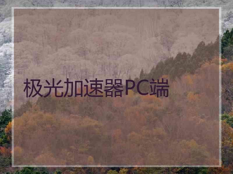 极光加速器PC端