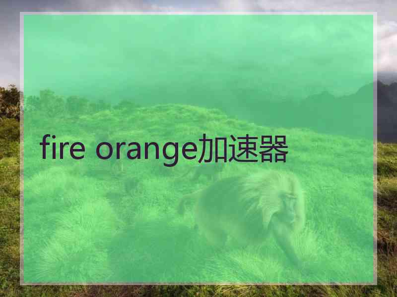 fire orange加速器