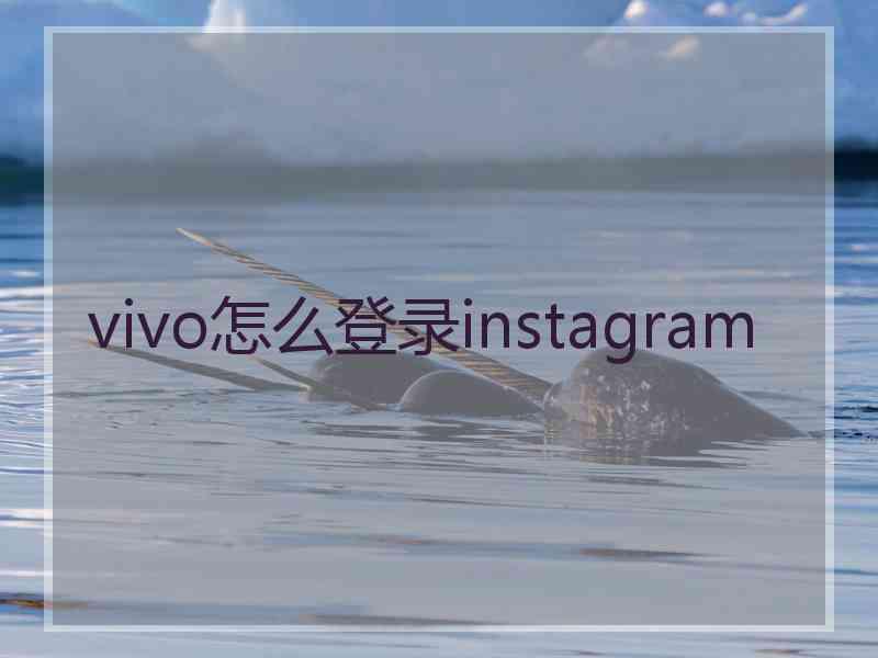 vivo怎么登录instagram