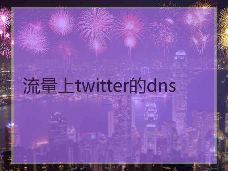 流量上twitter的dns