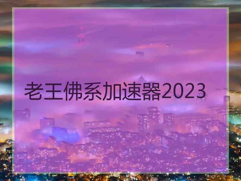 老王佛系加速器2023