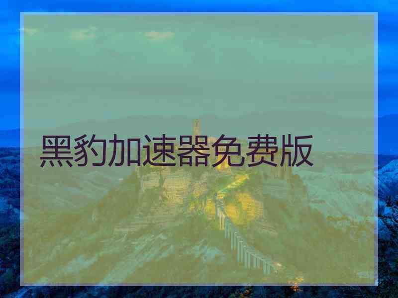 黑豹加速器免费版