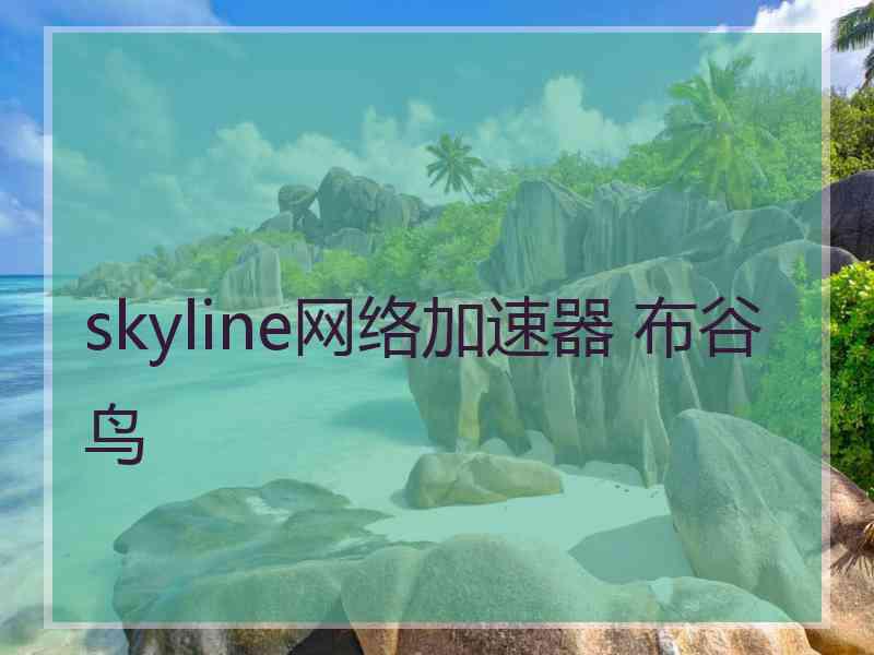 skyline网络加速器 布谷鸟