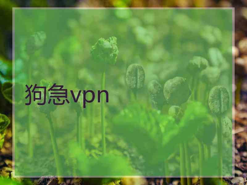 狗急vpn