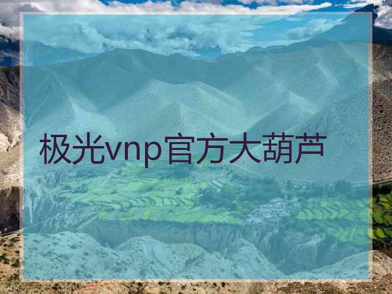 极光vnp官方大葫芦