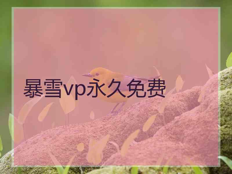 暴雪vp永久免费