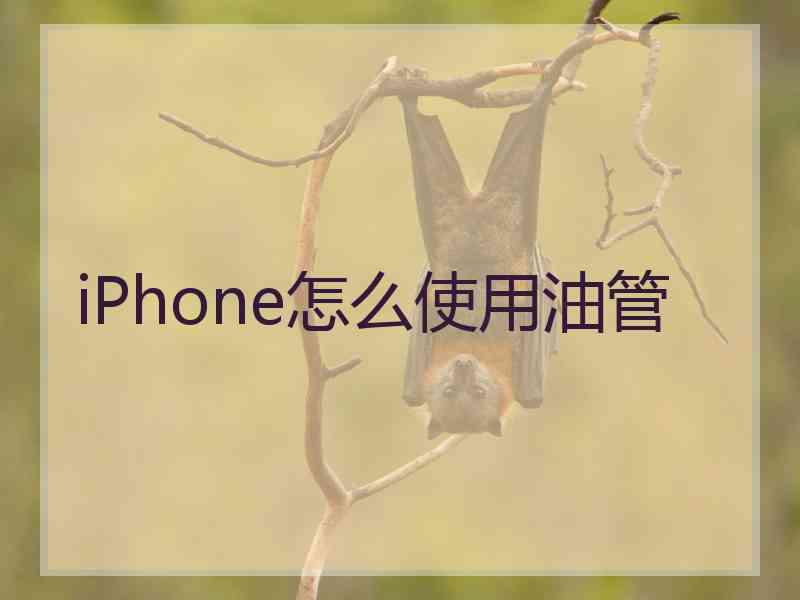 iPhone怎么使用油管