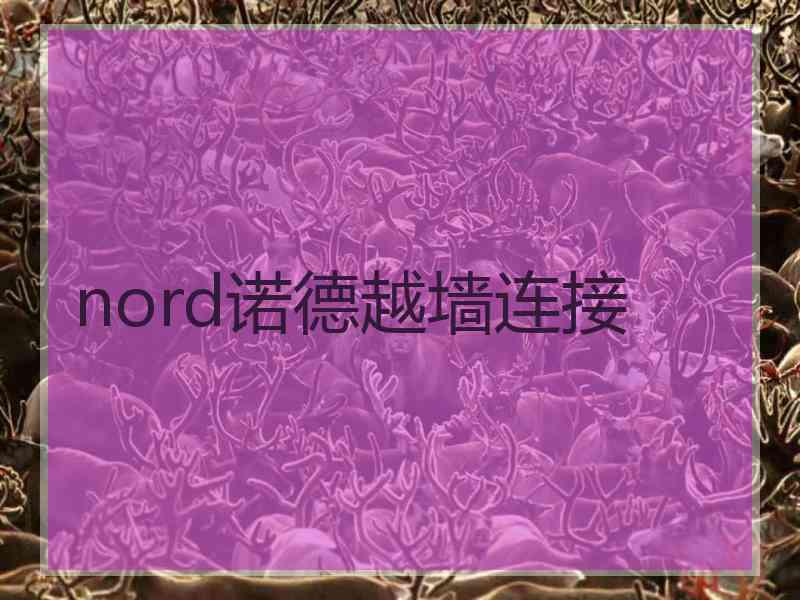 nord诺德越墙连接