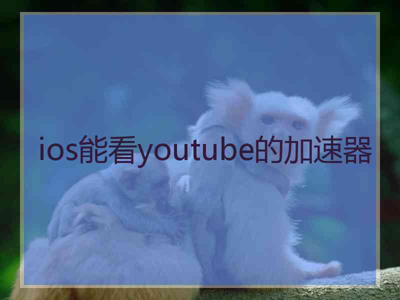 ios能看youtube的加速器