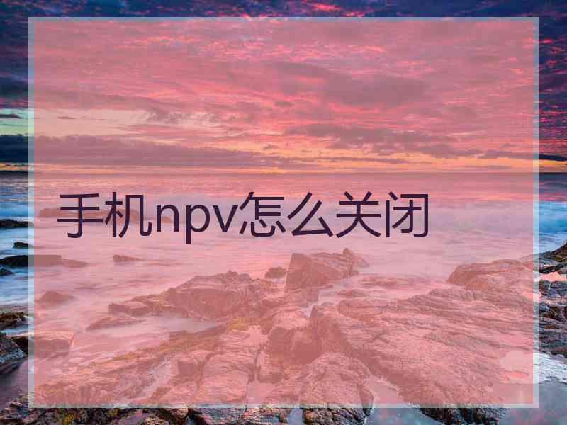 手机npv怎么关闭