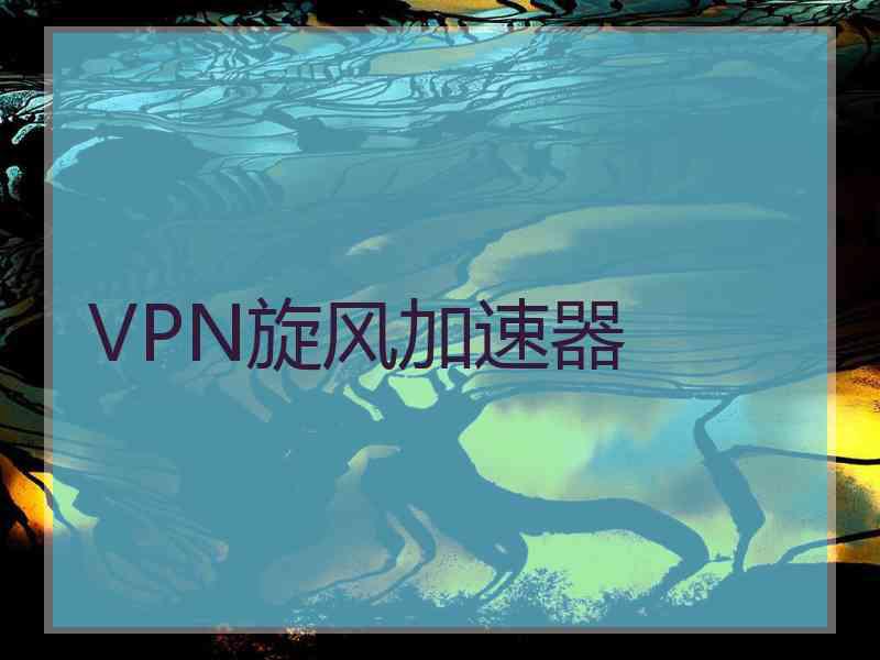 VPN旋风加速器