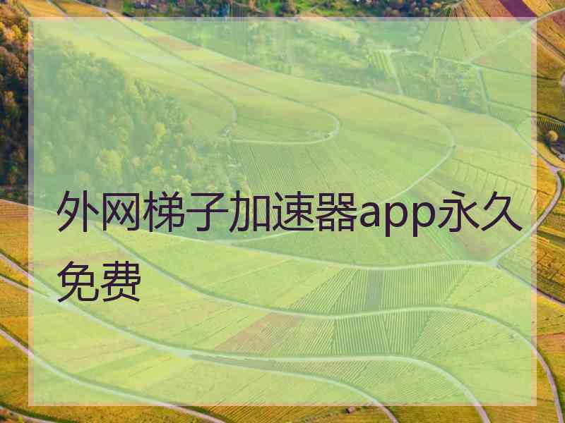 外网梯子加速器app永久免费