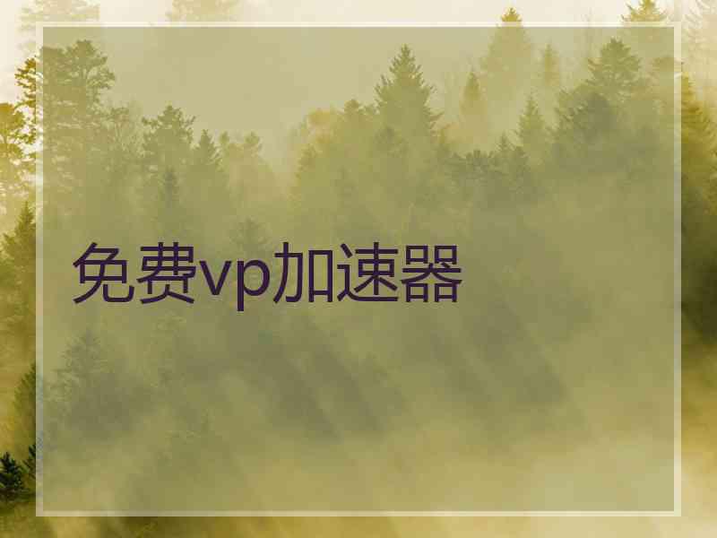 免费vp加速器