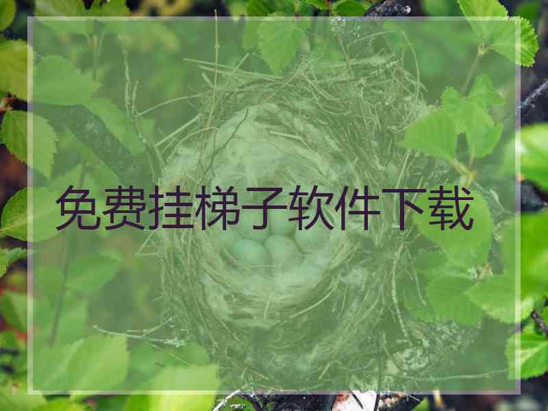 免费挂梯子软件下载