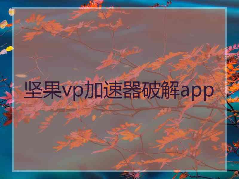 坚果vp加速器破解app