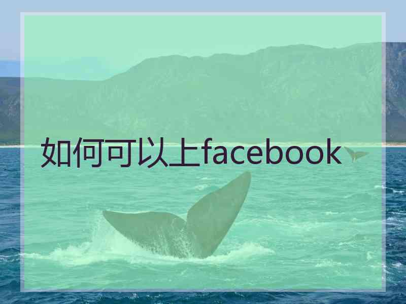 如何可以上facebook