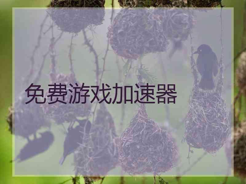 免费游戏加速器