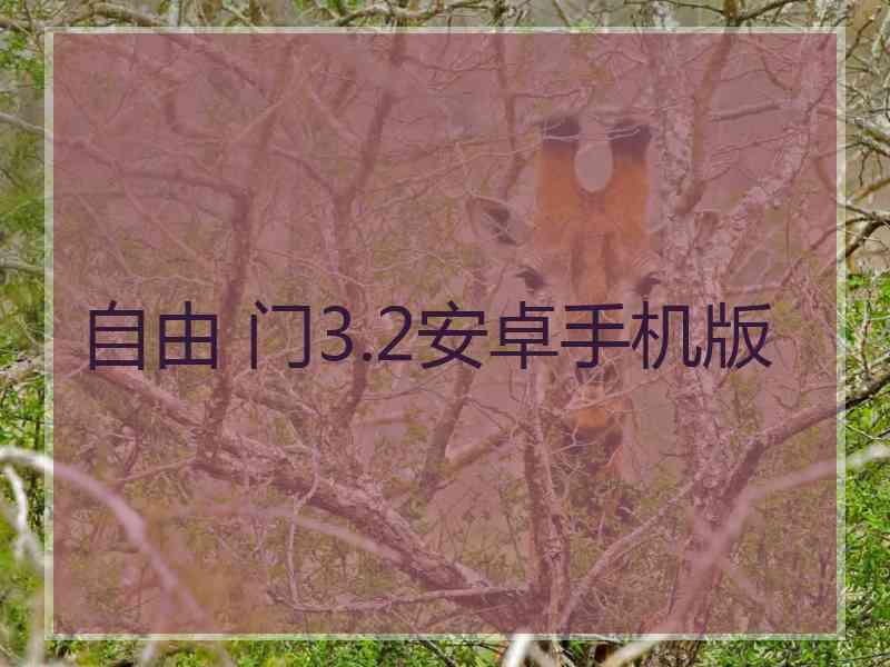 自由 门3.2安卓手机版