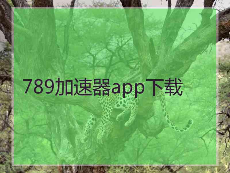 789加速器app下载