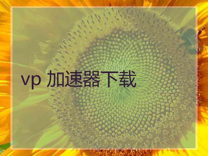 vp 加速器下载