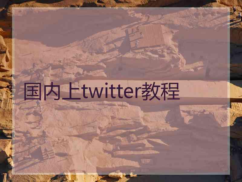 国内上twitter教程