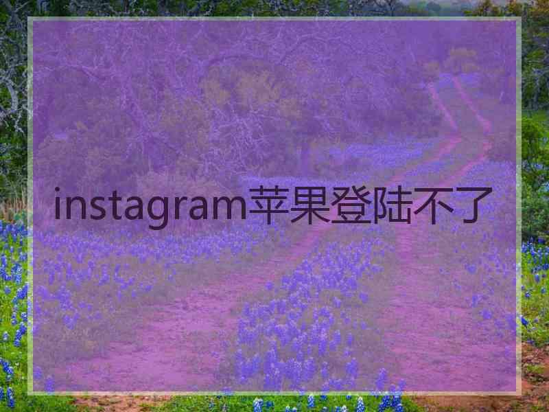 instagram苹果登陆不了