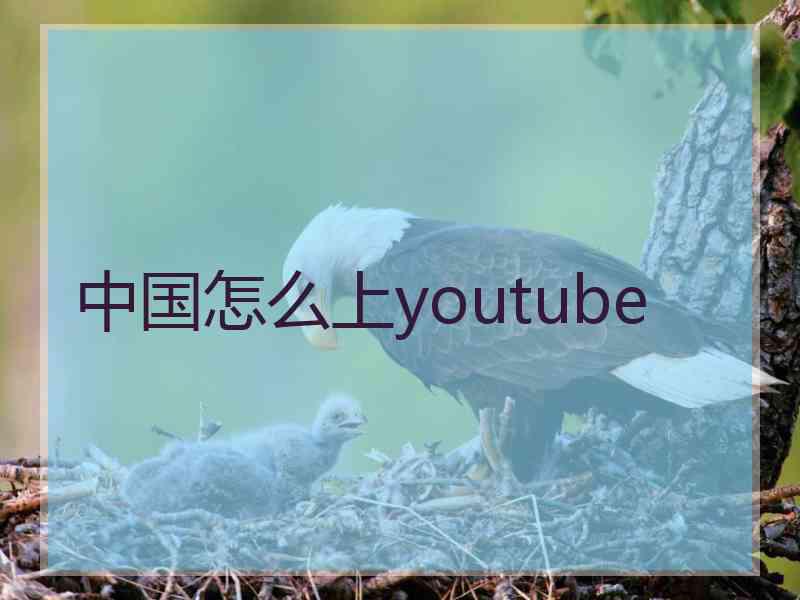 中国怎么上youtube