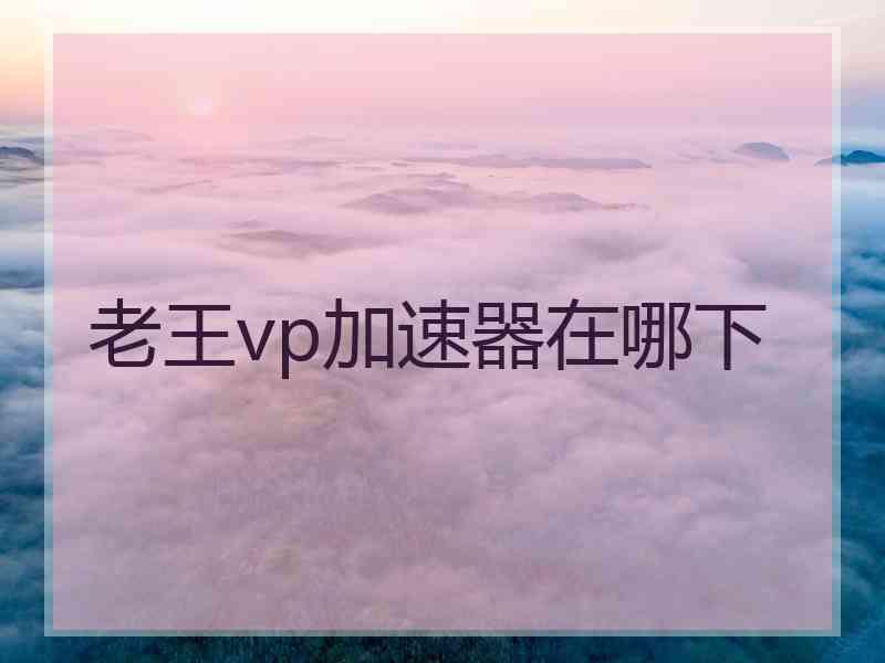 老王vp加速器在哪下