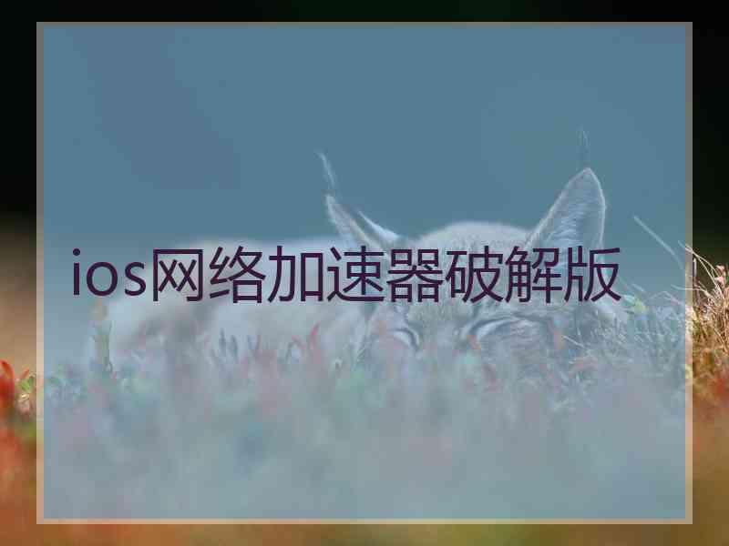 ios网络加速器破解版