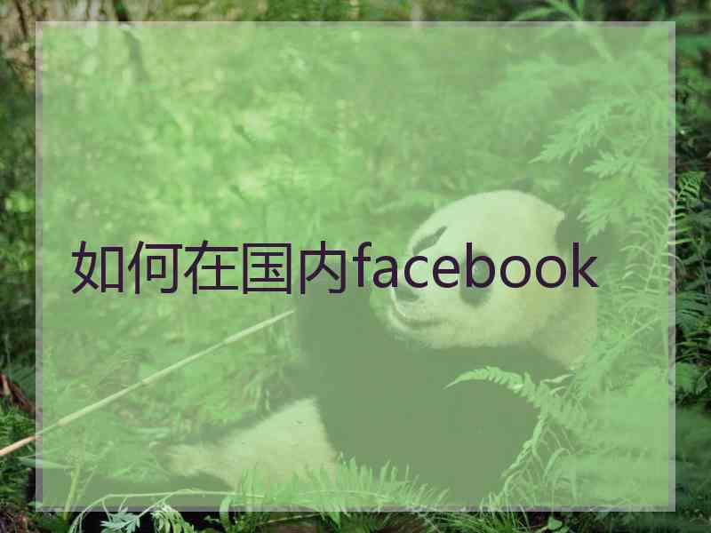 如何在国内facebook