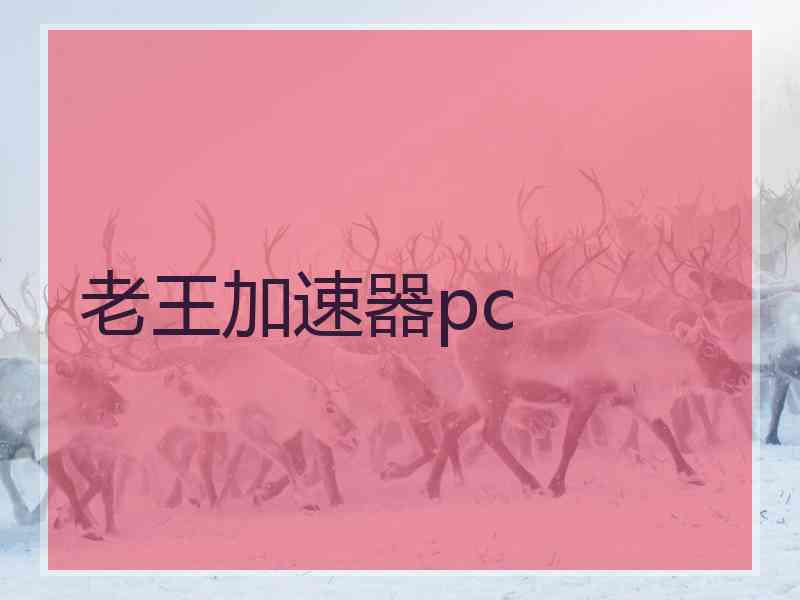 老王加速器pc