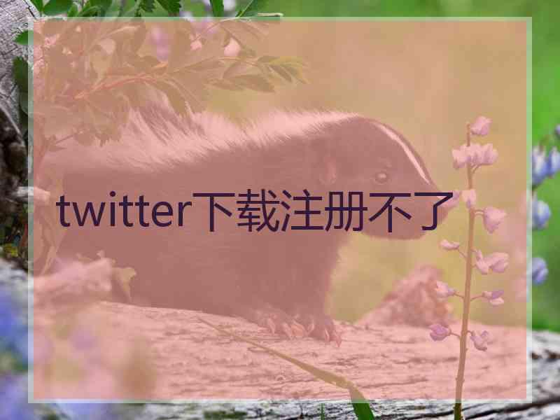 twitter下载注册不了