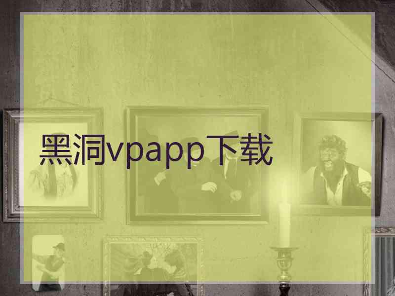 黑洞vpapp下载