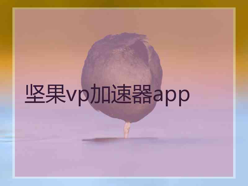 坚果vp加速器app