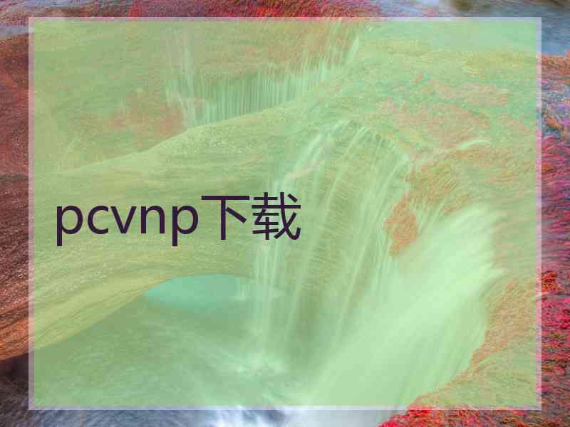 pcvnp下载