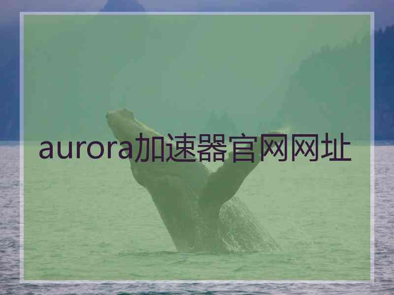 aurora加速器官网网址