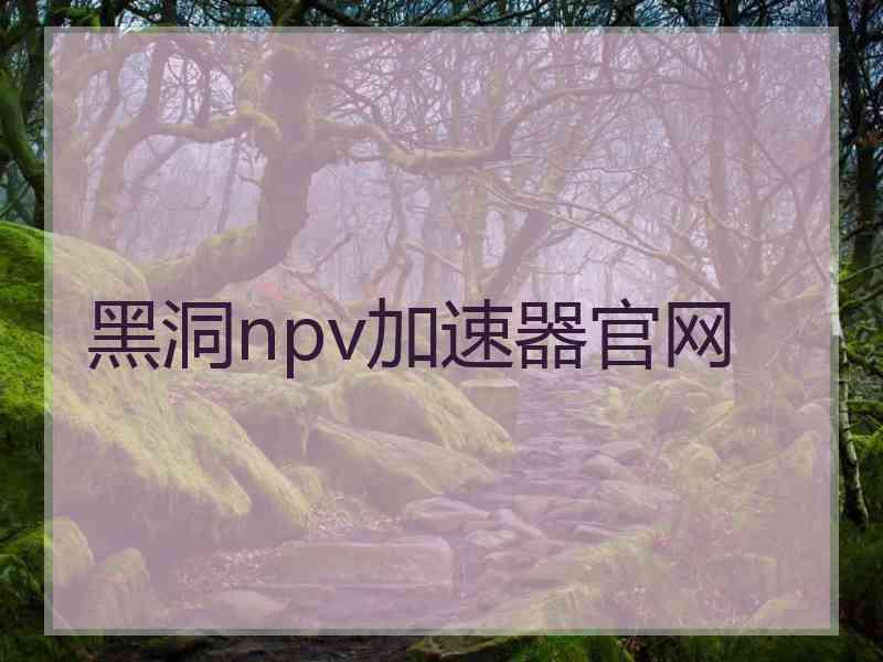 黑洞npv加速器官网